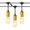 Litehouse-10m-LED-Modern-Festoon-Gold-Socket-Bulb-String-Light-10-Bulbs.jpg Litehouse 10m LED Modern Festoon Gold Socket Bulb String Light - 10 Bulbs