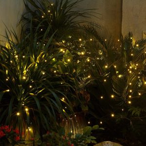 WhatsApp-Image-2023-03-13-at-14.15.22-5.jpeg Litehouse Solar LED Black String Fairy Lights